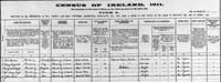 Photo of Thornberry 1911 census